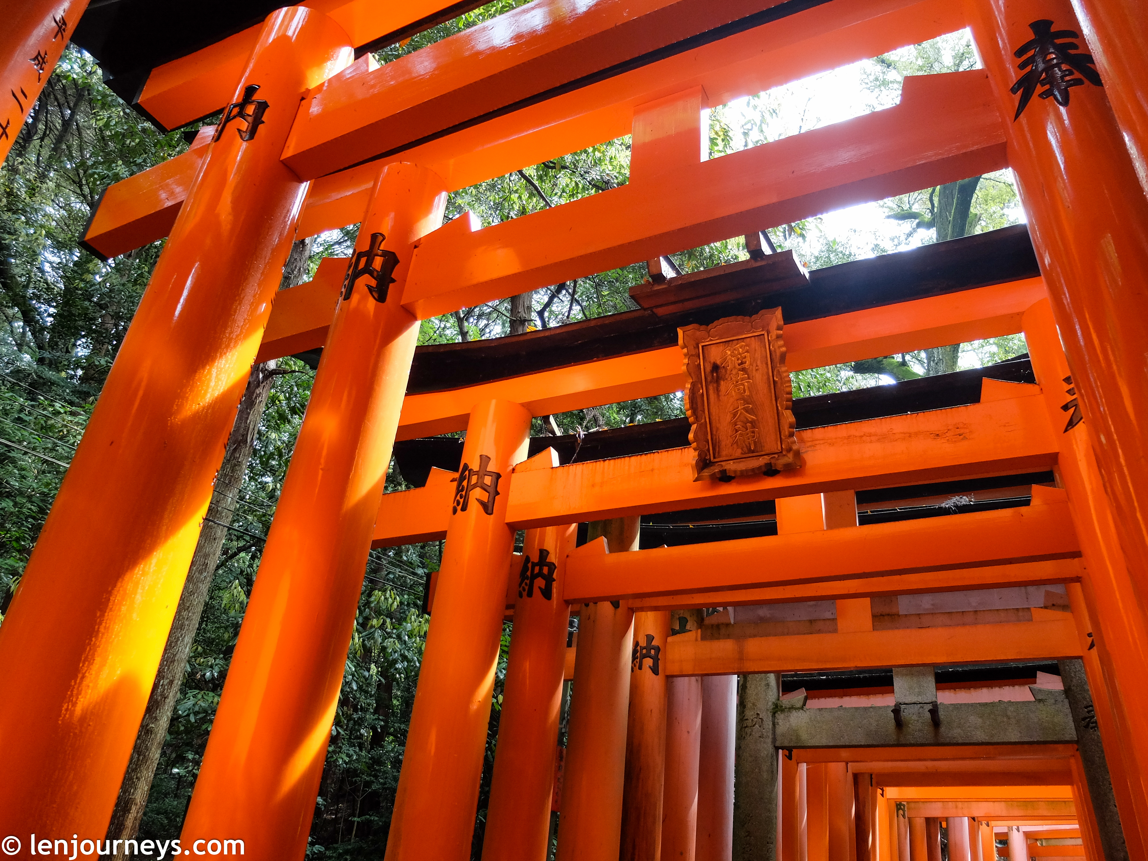 Through thousands of torii in Fushimi Inari