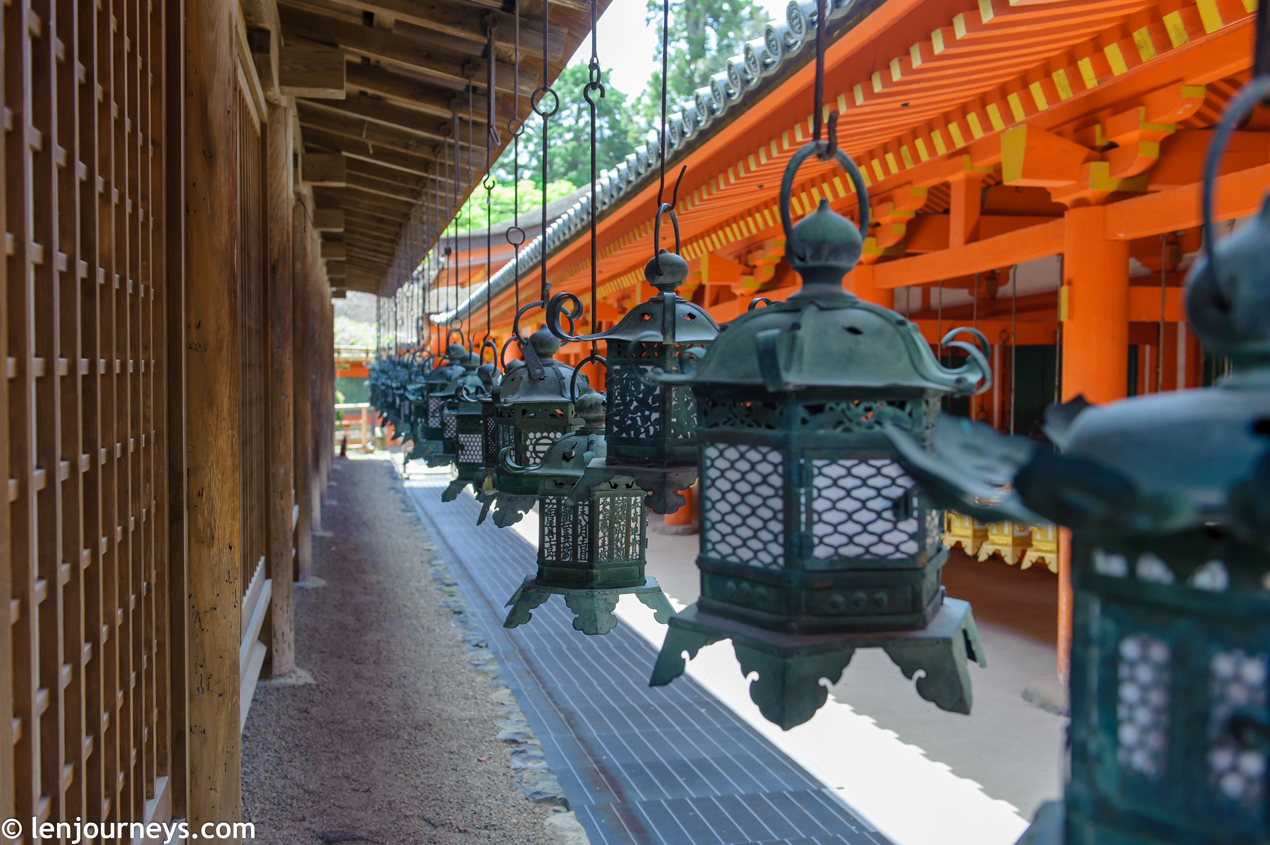 The bronze lanterns of Kasuga Taisha