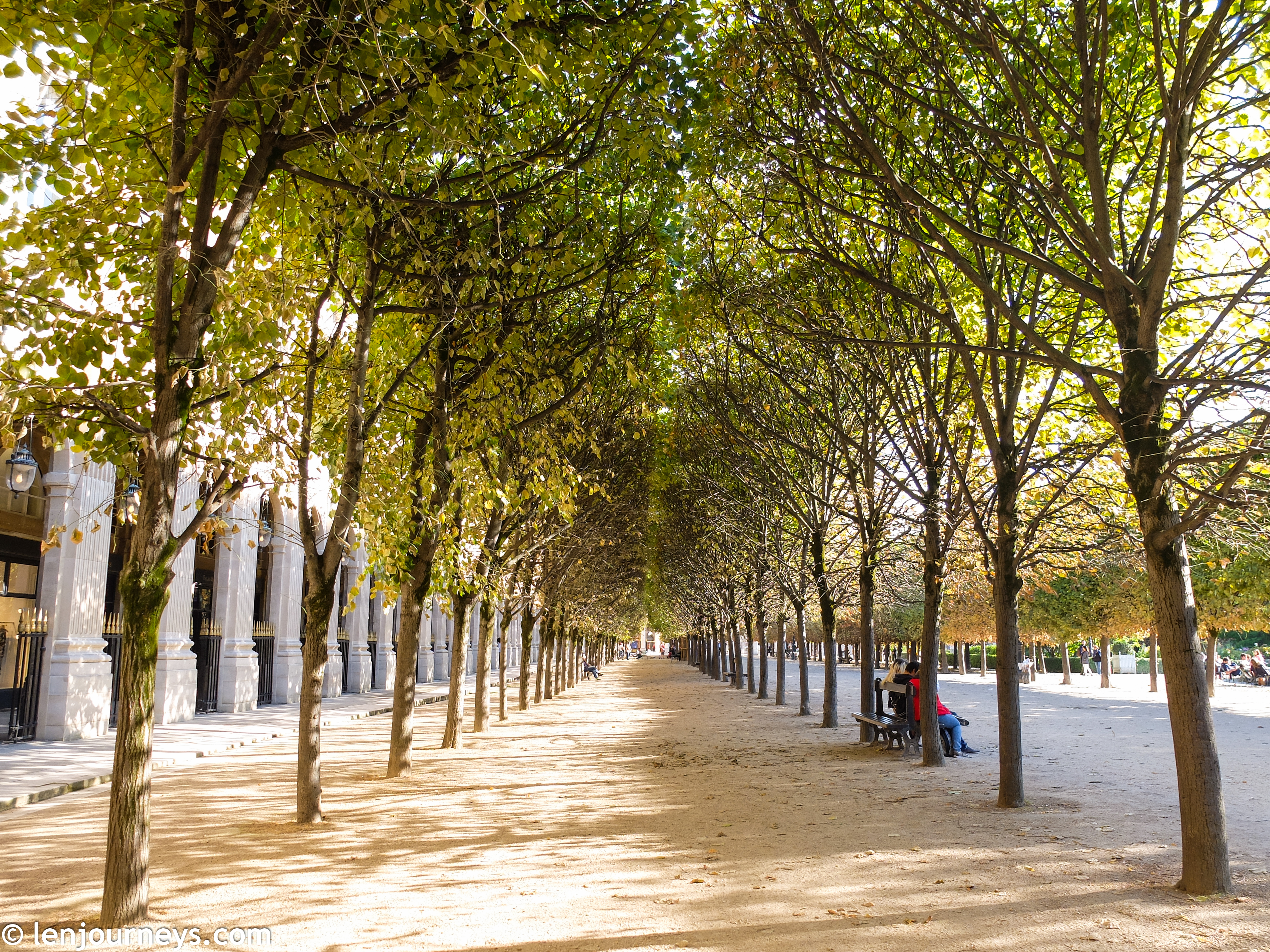 Lime trees in Jardin du Palais Royal