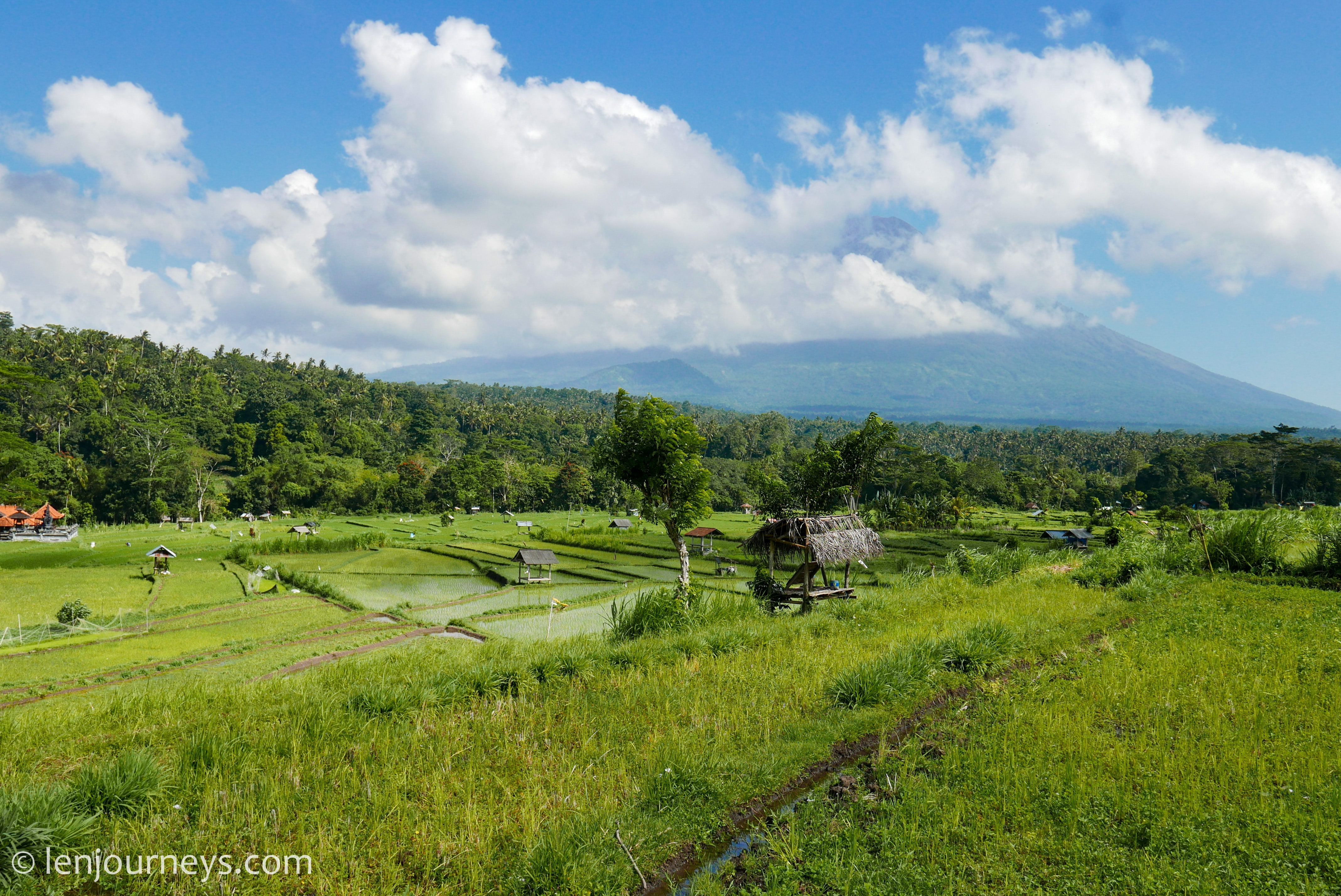 Terraced fields with a view of Mount Agung