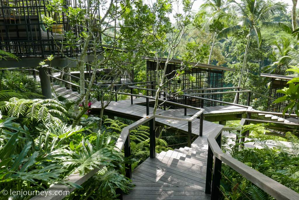 The leafy walkway, Hoshinoya Bali