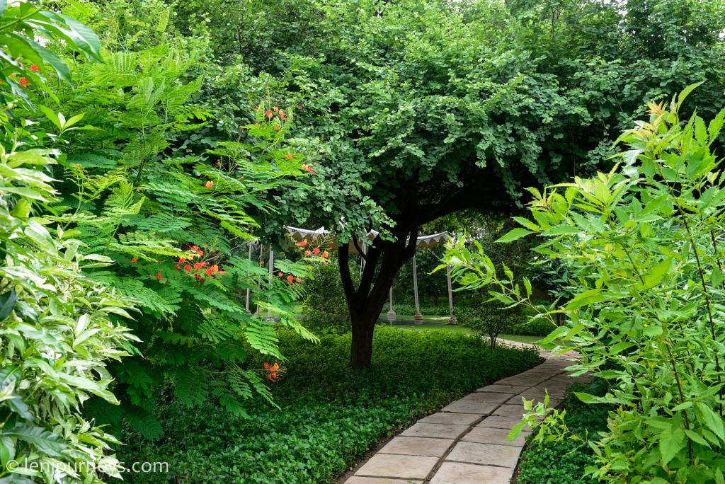 Leafy pathway, Oberoi Ranthambore