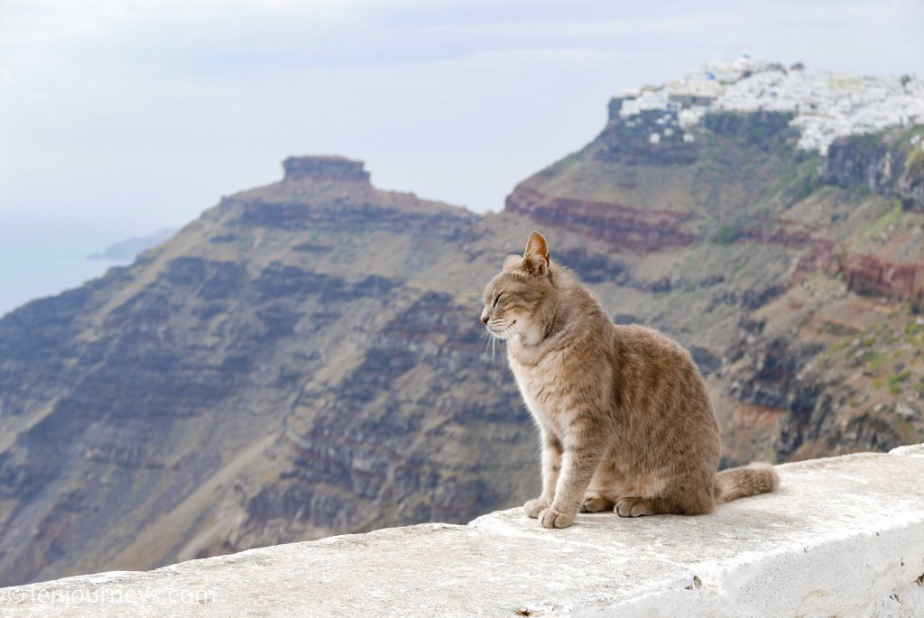 The guardian of Skaros Rock, Santorini