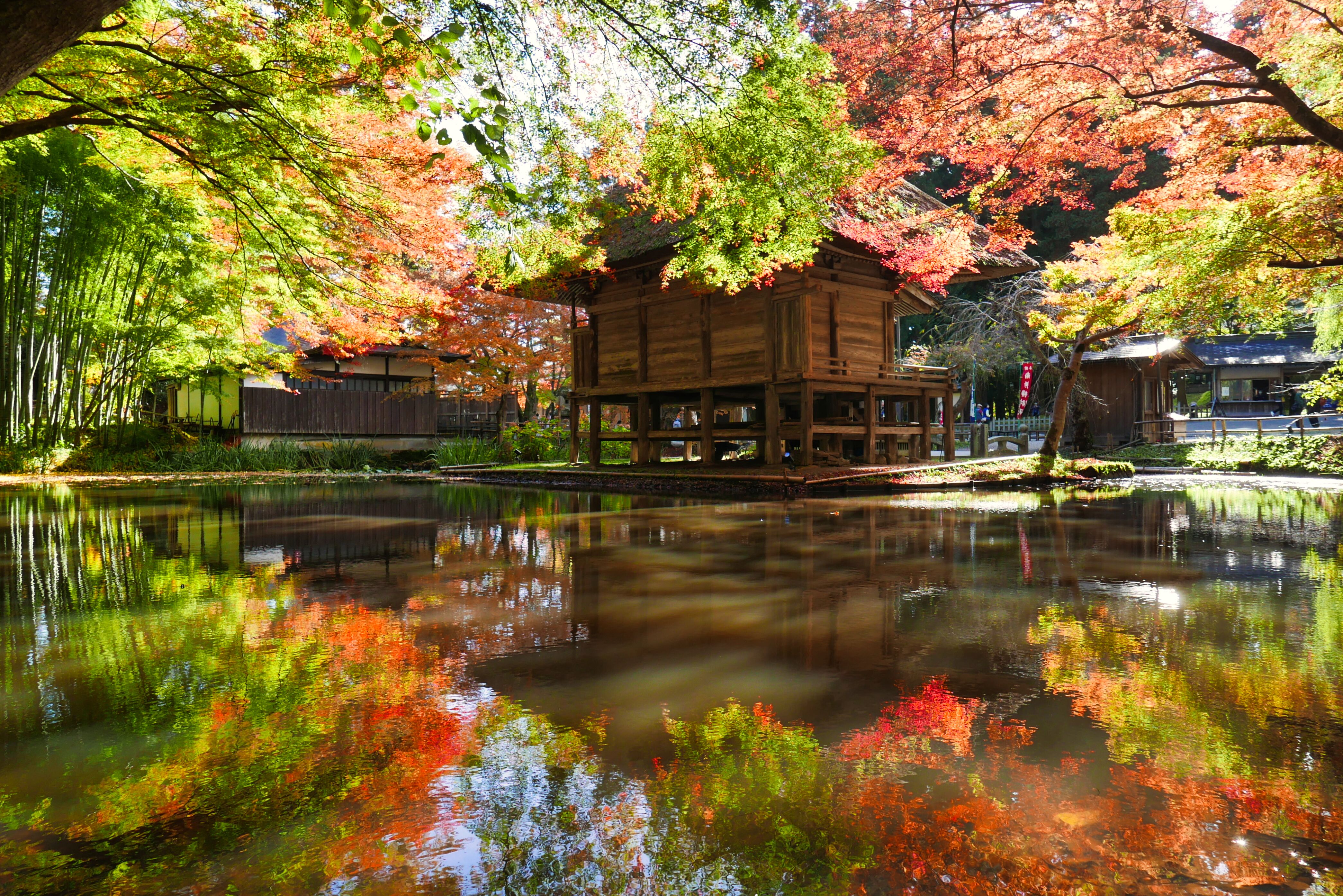 The pond at Chuson-ji