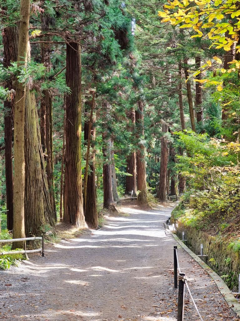 Main path to Chuson-ji