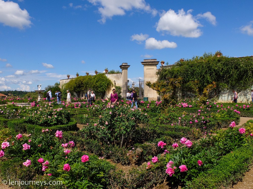 The rose garden in Boboli