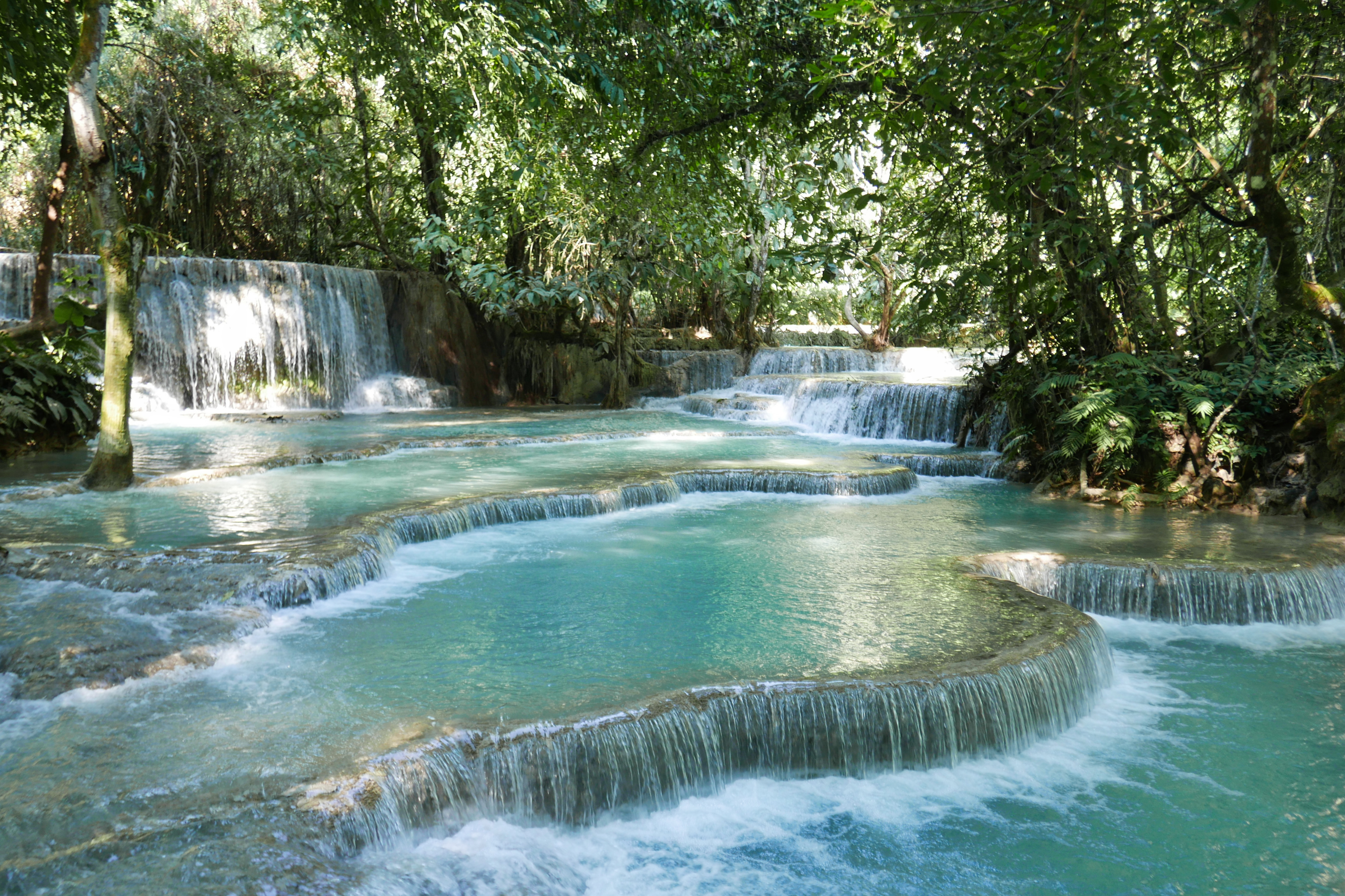 The beautiful jungle pools, Luang Prabang