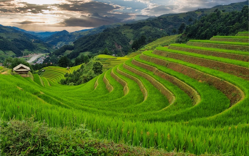 mu-cang-chai-horseshoe-shaped-valley
