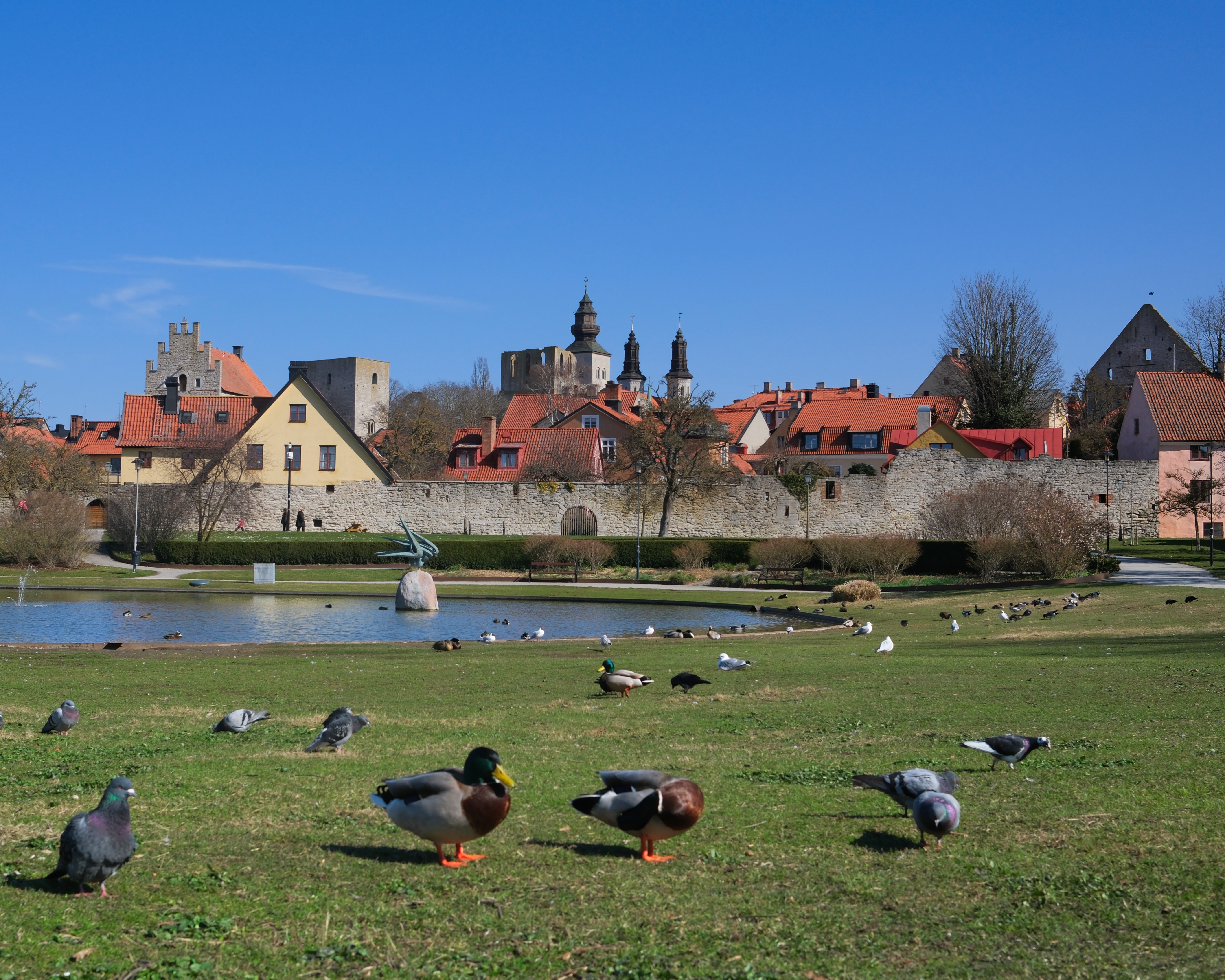 Almedalen Park in Visby
