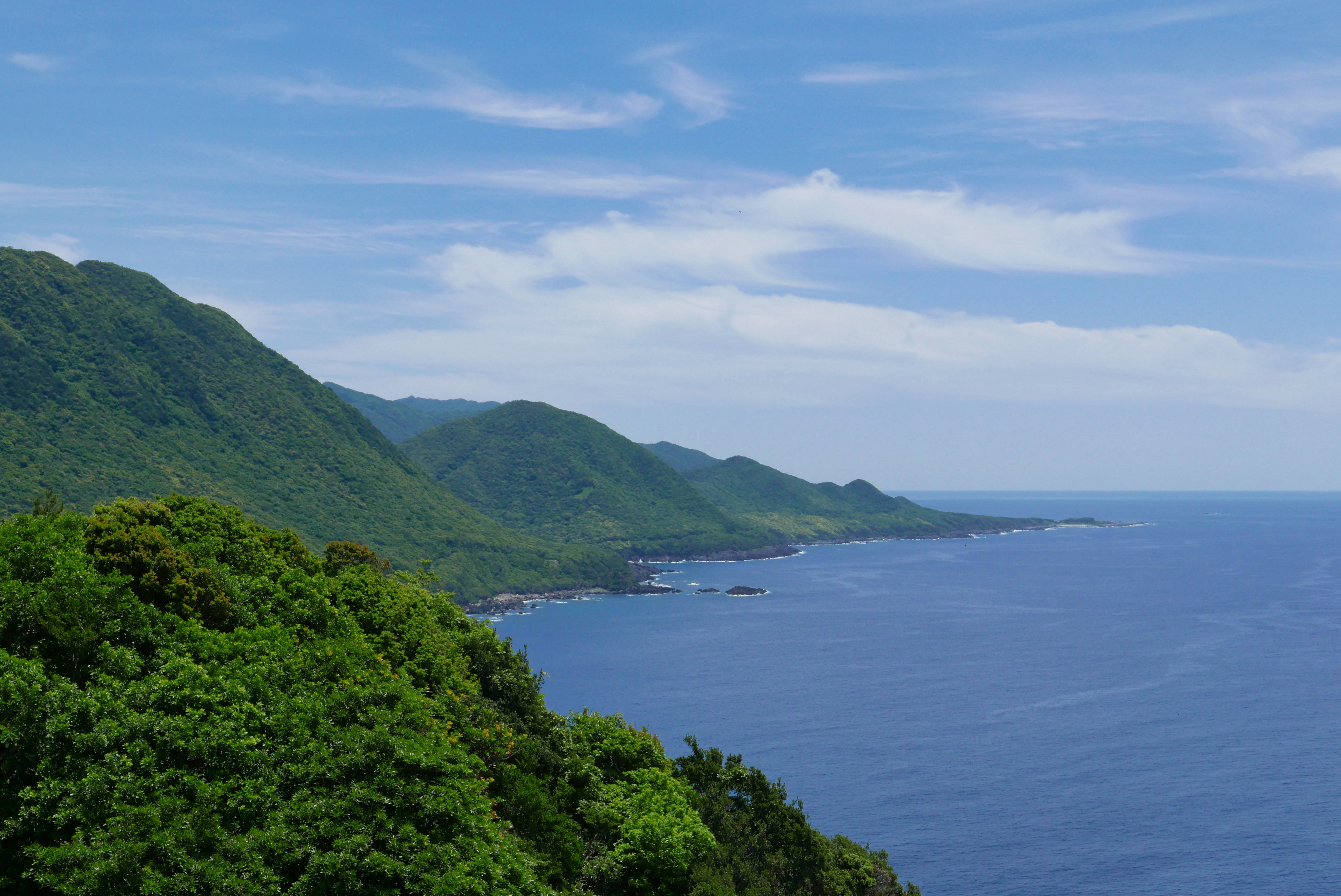 Yakushima - the natural wonder of Japan