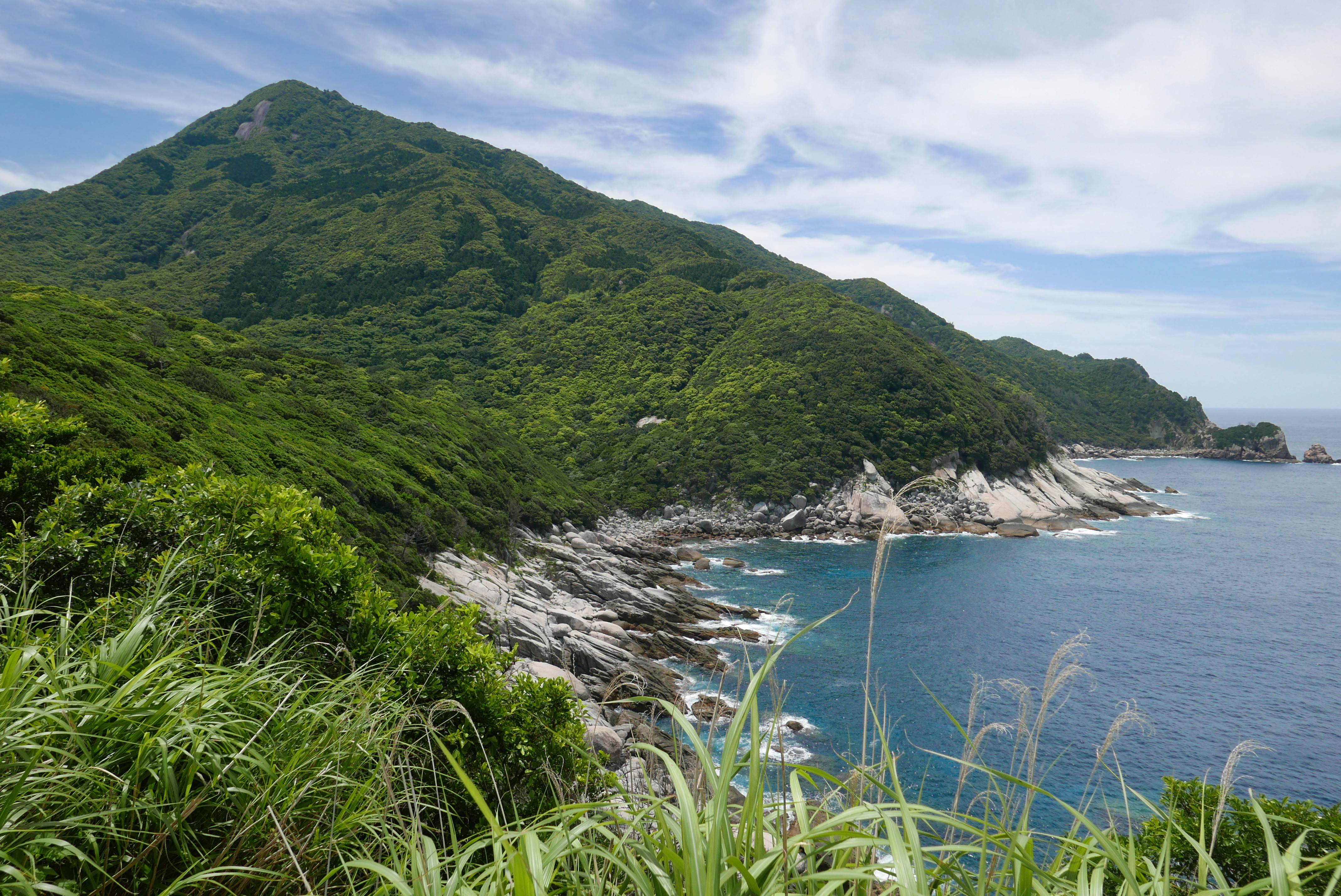 The dramatic coastline of Yakushima