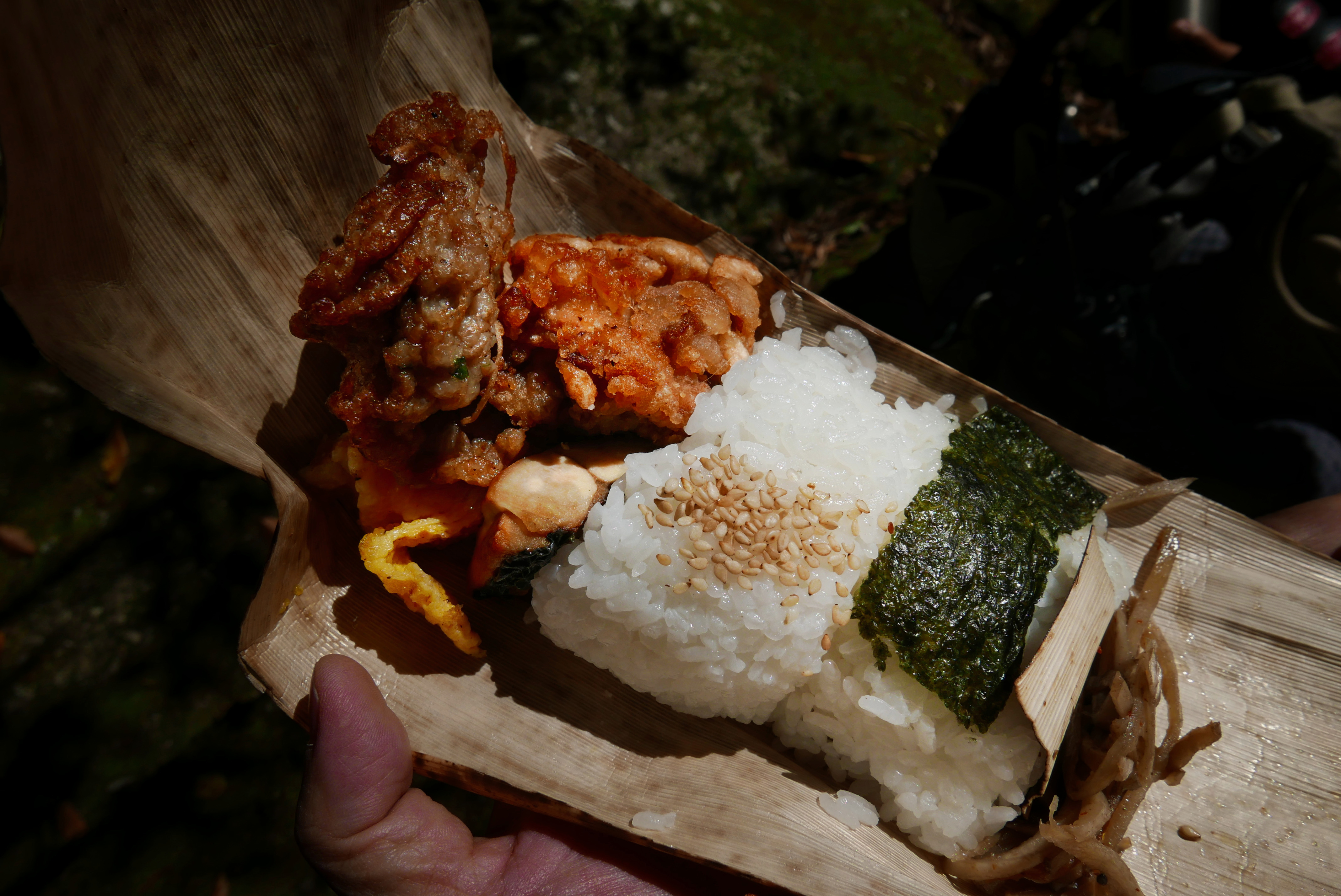 The onigiri-style lunch in the forest