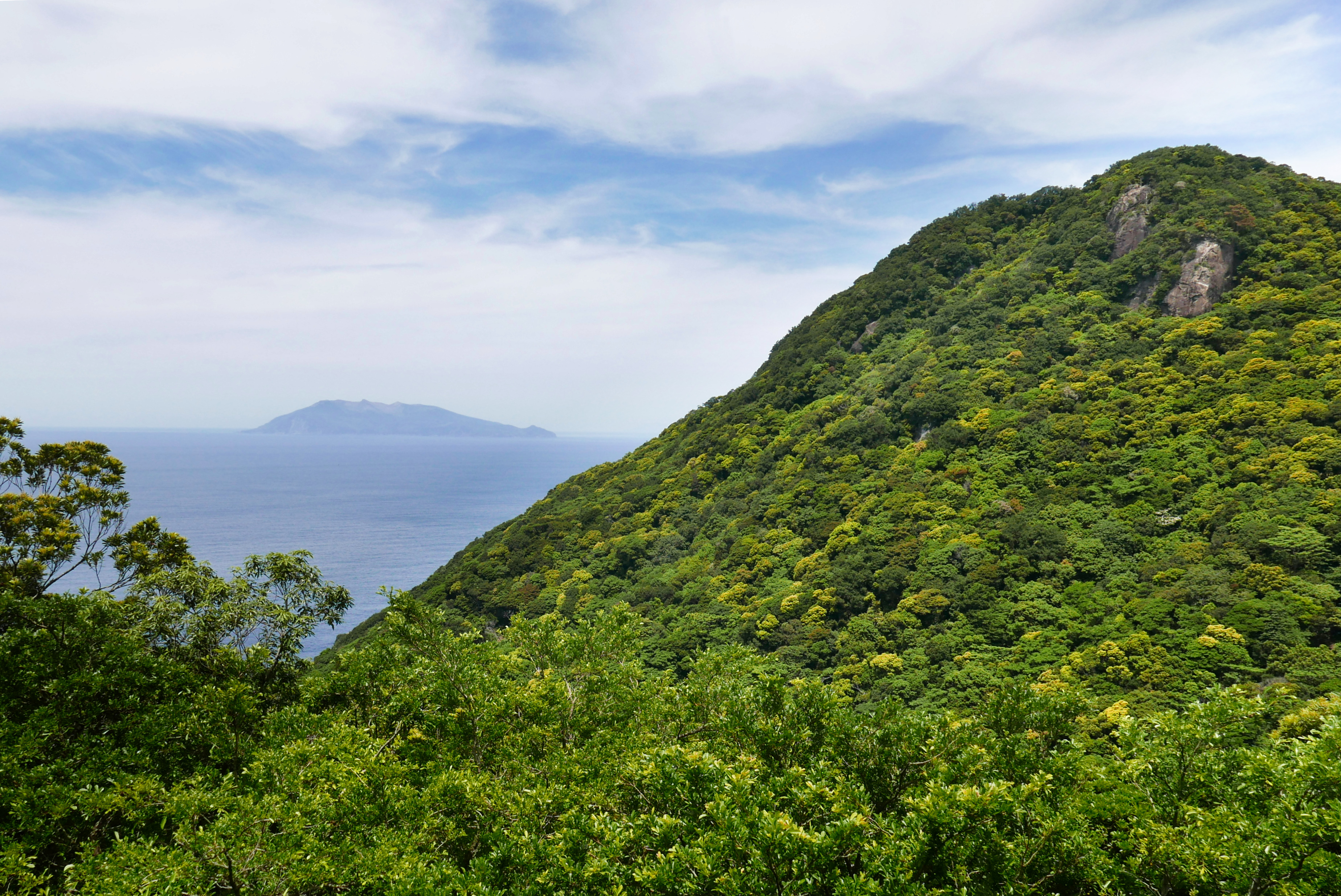 The lush mountain slopes