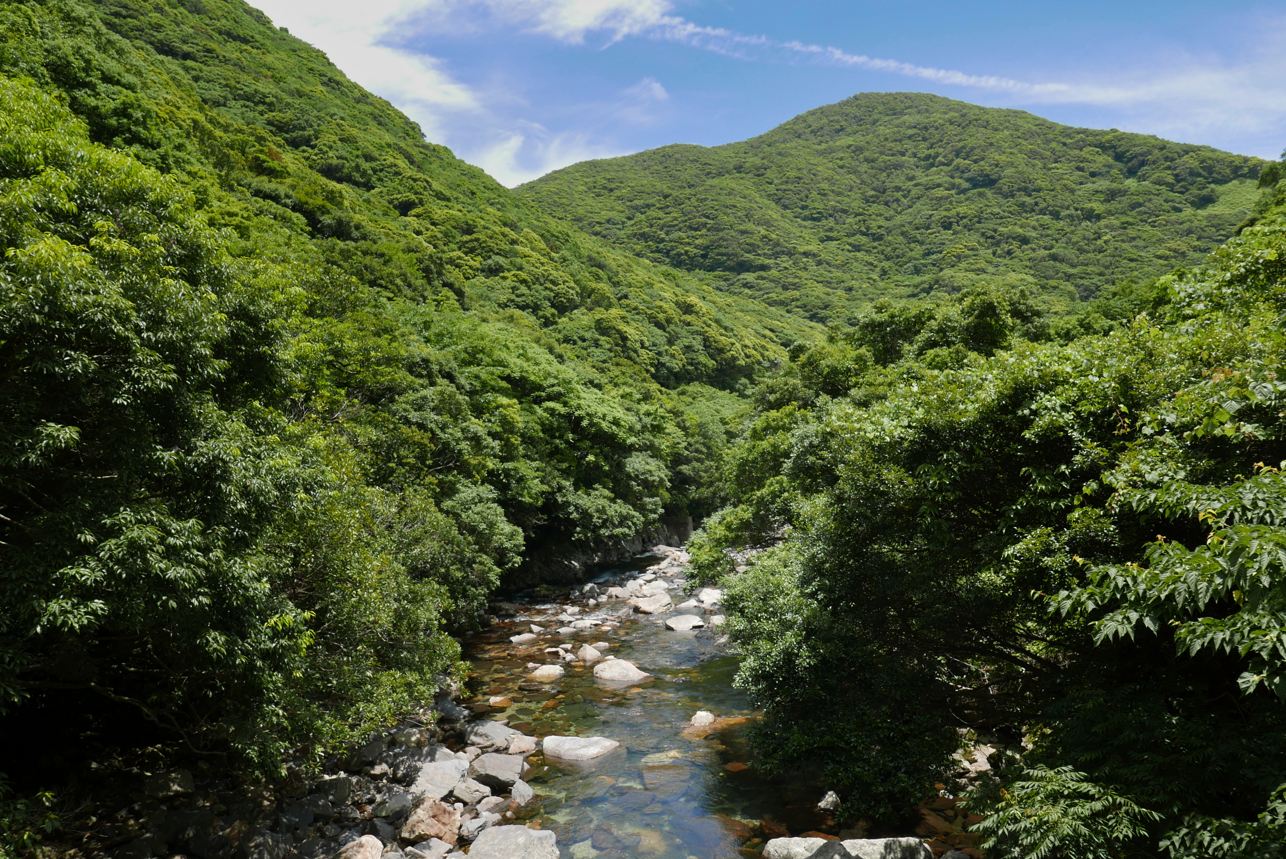 The mountains and rivers of Yakushima