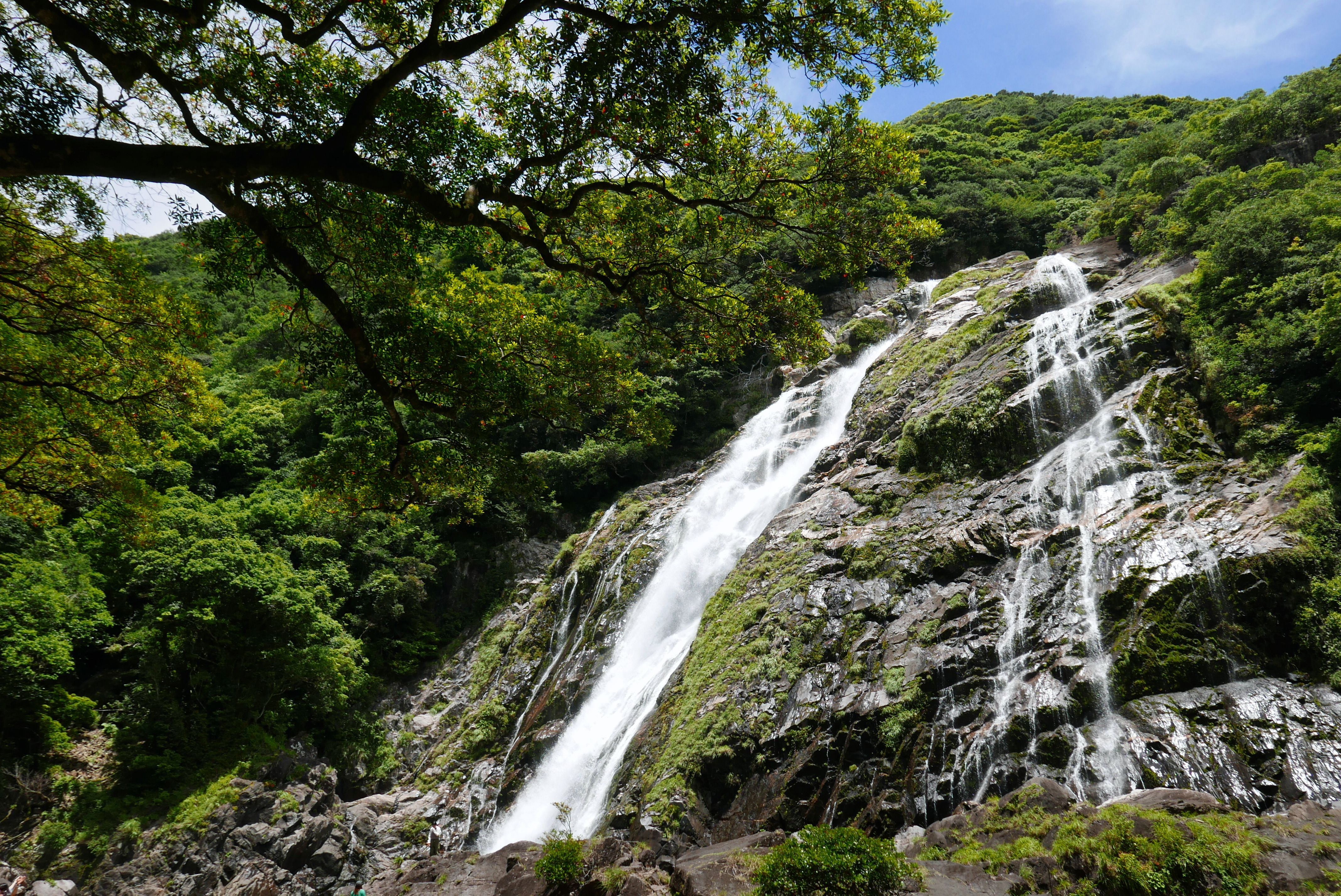 Okonotaki Waterfall in Yakushima