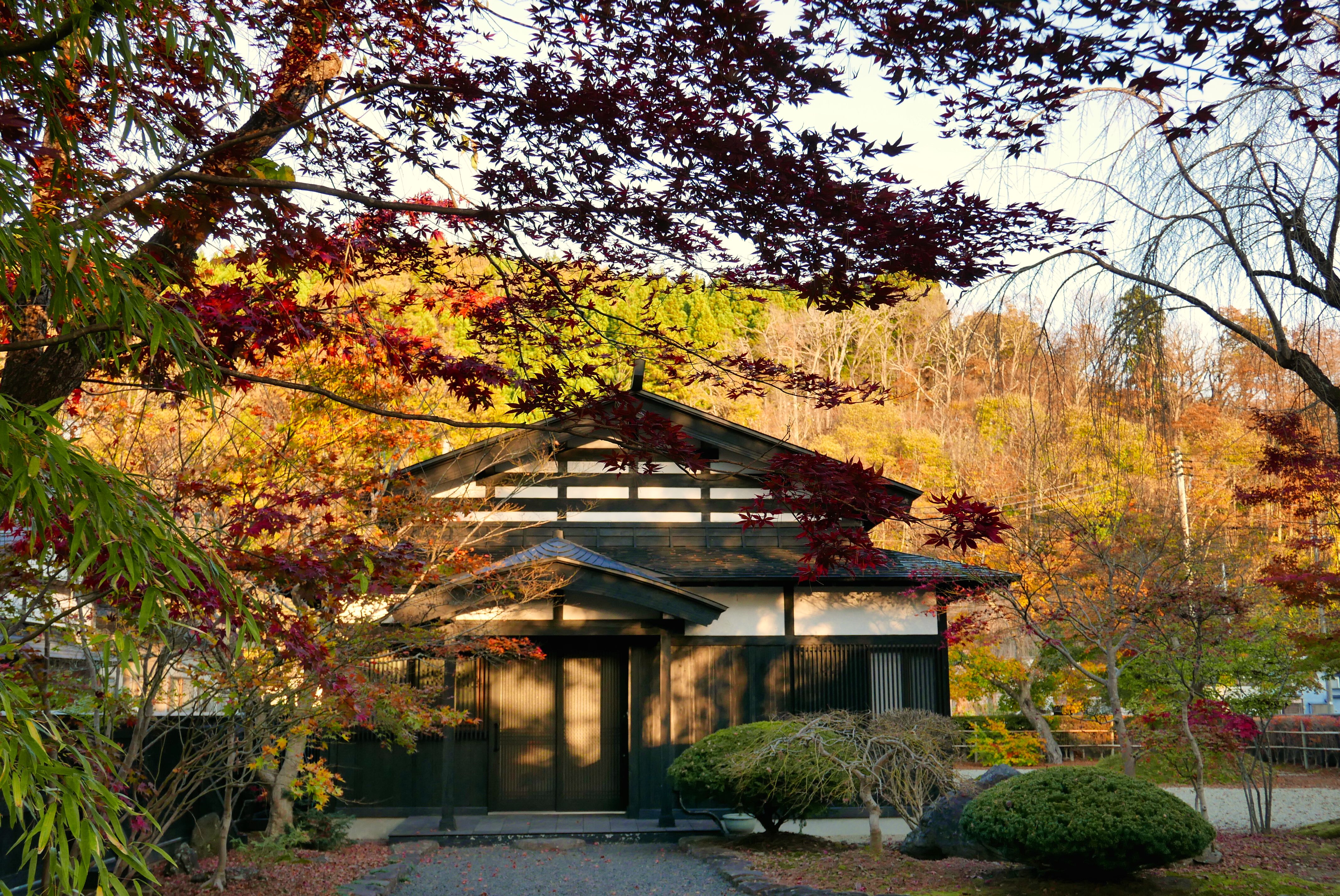 Inside the garden of a samurai residence